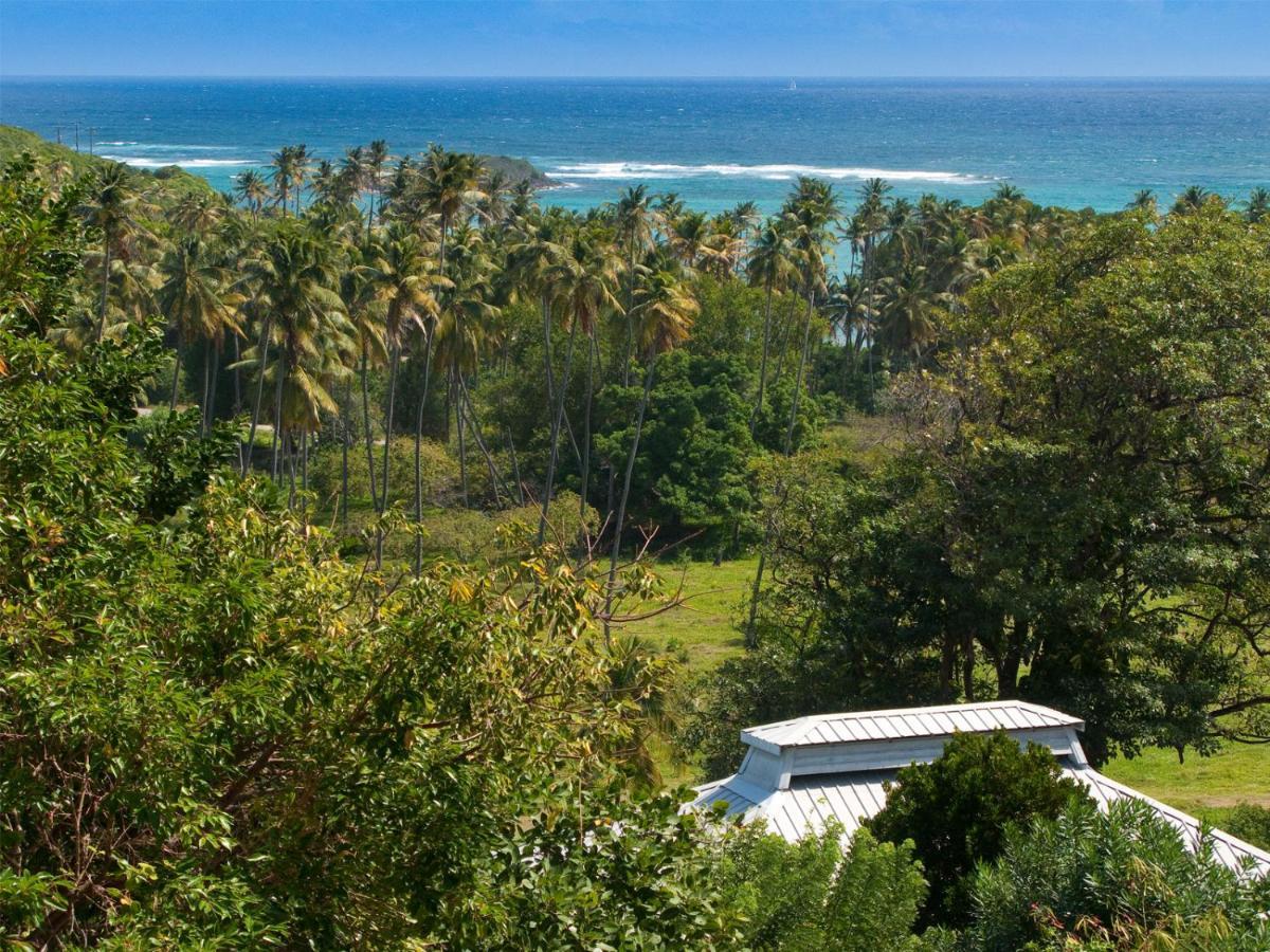 Firefly Estate Bequia Hotel Crescent Beach ภายนอก รูปภาพ
