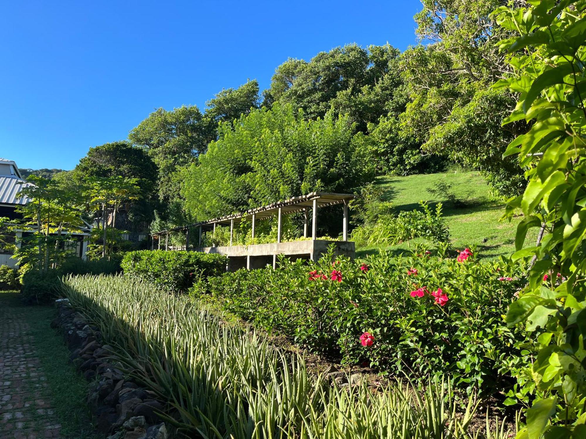 Firefly Estate Bequia Hotel Crescent Beach ภายนอก รูปภาพ
