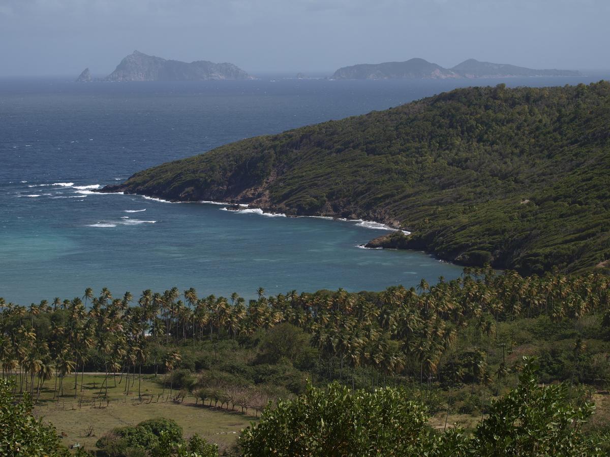 Firefly Estate Bequia Hotel Crescent Beach ภายนอก รูปภาพ