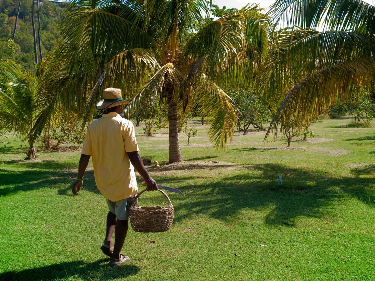 Firefly Estate Bequia Hotel Crescent Beach ภายนอก รูปภาพ