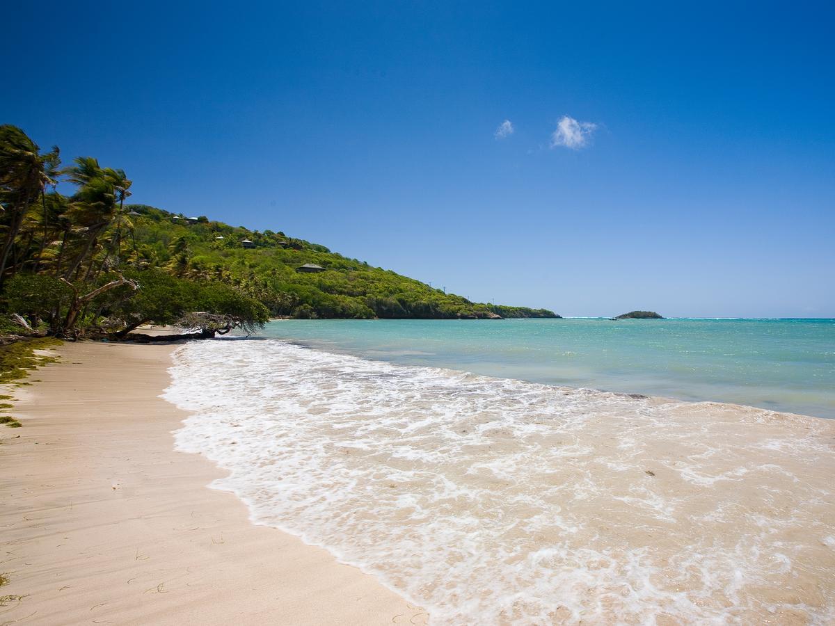 Firefly Estate Bequia Hotel Crescent Beach ภายนอก รูปภาพ